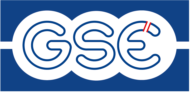 GSE : Gestion des Systèmes Electriques